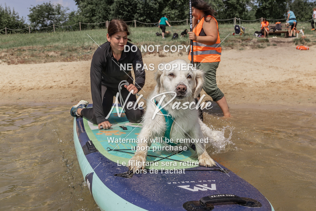 BUHU_SUP_670 | nelerasche