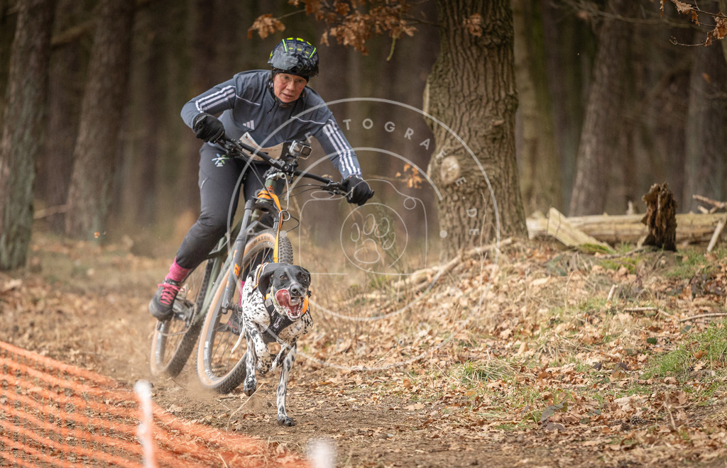 Pfotenfotografie_DV3A2782 | Hundefotografie, Tierfotograf, Pfotenfotografie, Fotoshooting Hund, Hunde Portrait, Hundesport, Hundeportraits, Heideshooting, Hunde, Sportfotograf, Hundefotograf, Turnierhundsport, THS,  - Realisiert mit Pictrs.com