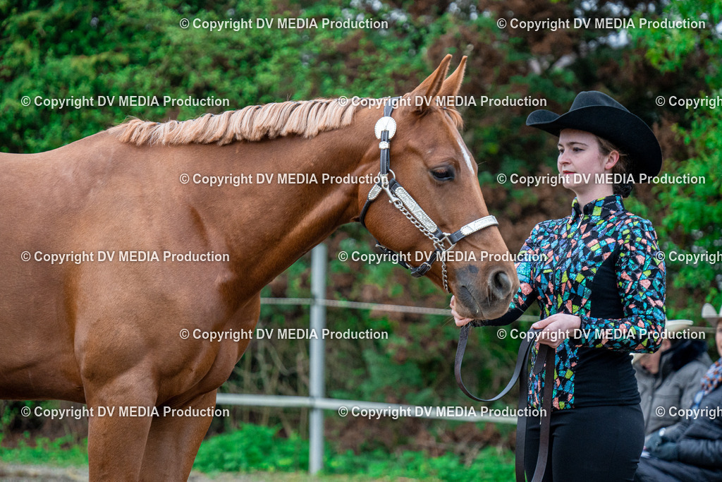 BA300081 | dv-media-shop - Realisiert mit Pictrs.com