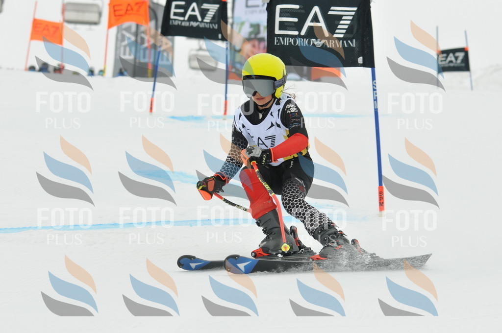 DSC_8107 | holidayphoto