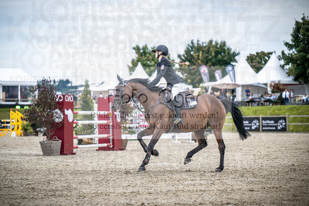 DOS_4997 | Entdecke hochwertige Reitturnierfotos von Foto Oger. Professionell, emotional und authentisch – jetzt Lieblingsmomente im Shop bestellen.Deutschlandweite Turnierfotografie. - Realisiert mit Pictrs.com