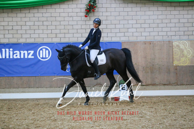IMG_2653 | Turnierfotos kaufen im Webshop von Daniel Kuhl Photography – entdecke professionelle Reitsportfotos aus Turnieren & Events. Hochwertige Turnierbilder online bestellen & sichern. Jetzt Fotos von Reitsportturnieren kaufen!