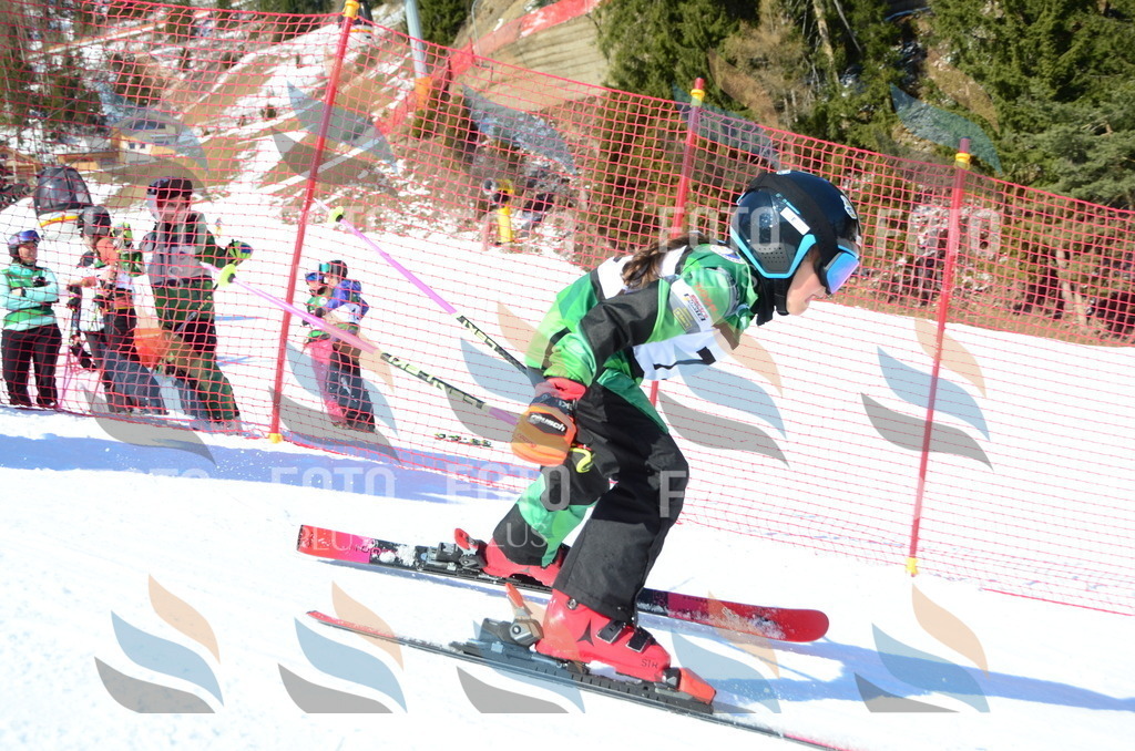 C5502 | holidayphoto