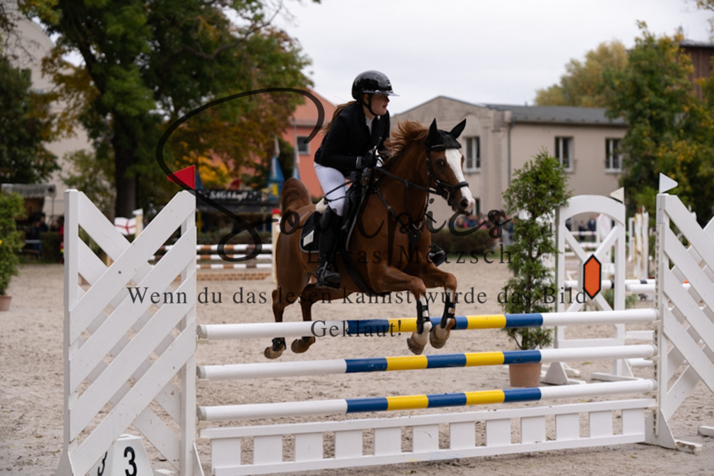 A7V00598 | Pferdefotograf