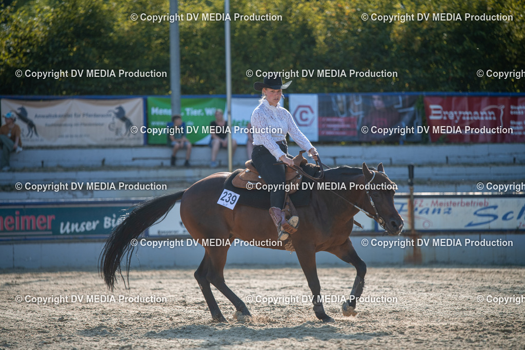 EWP_7091 | dv-media-shop - Realisiert mit Pictrs.com