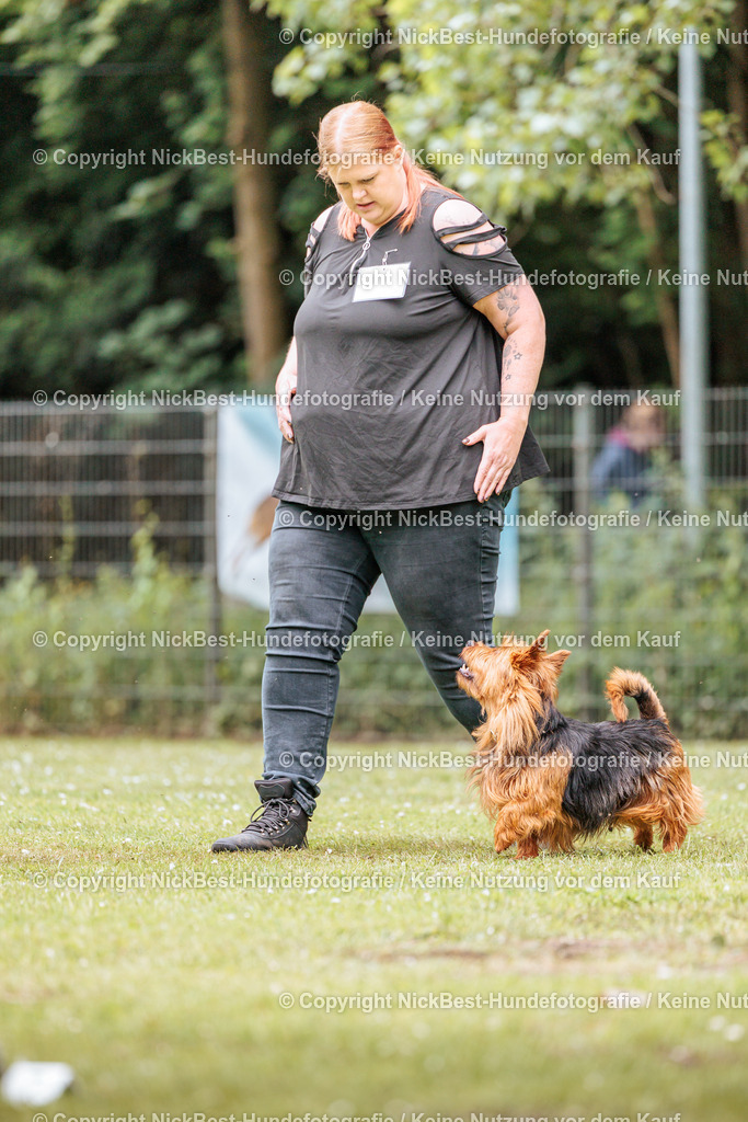 RO-Blumenthal-2026-Nickbest-Hundefotografie-2156 | Dein Hund! Dein Moment! Deine Erinnerungen! Hundefotografie in Bremen Blumenthal. Ich fange die besonderen Momente deines Vierbeiners ein – ob Indoor mit Blitzanlage oder in der freien Natur. Sicher dir dein Moment und dein Termin für eure Erinnerungen.