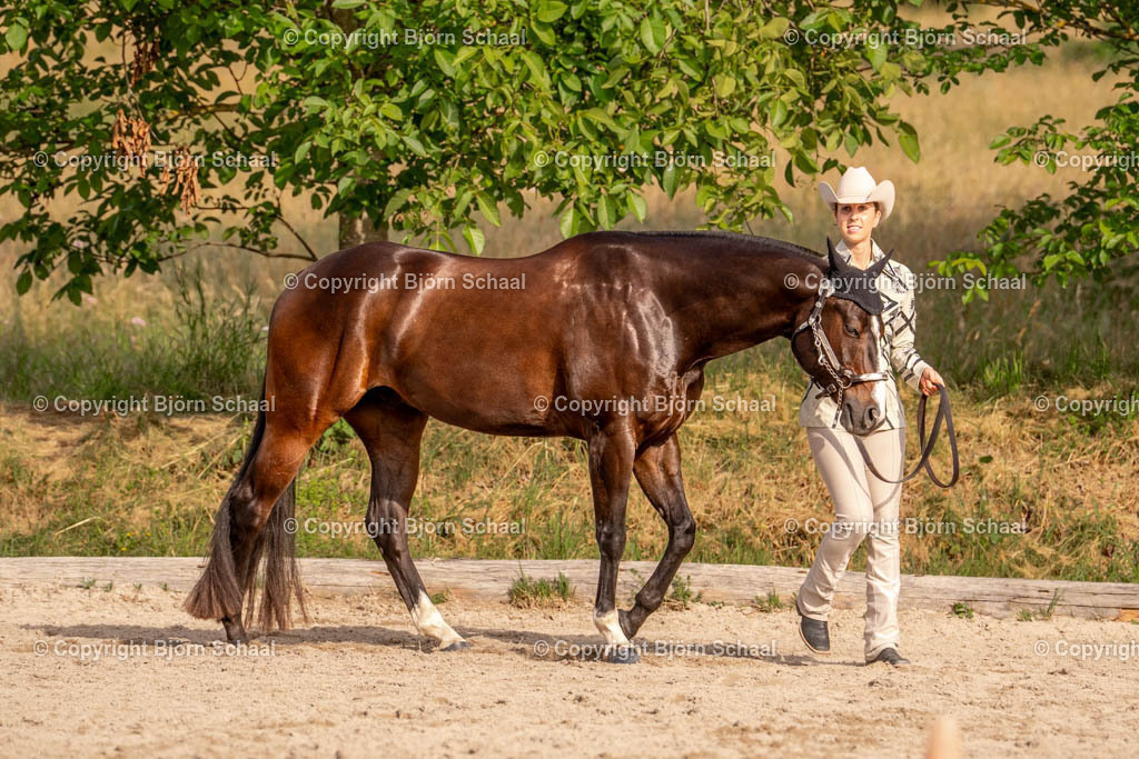 KBS01061 | BS-foto