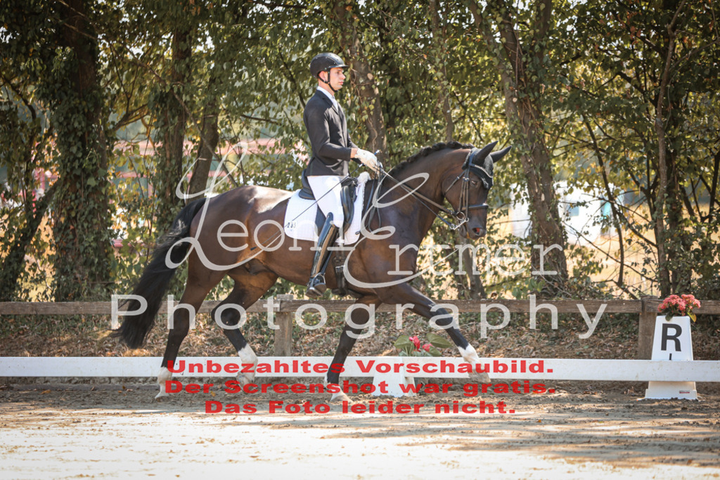 06.SoDrM00090 | Leoni Ertmer Photography - Realisiert mit Pictrs.com