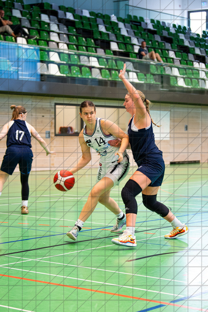 2. DBBL Nord 24/25 | 07.09.2024 | BBC Osnabrück vs. Eintracht Braunschweig | Testspiel | 2. DBBL Nord 24/25 | 07.09.2024 | BBC Osnabrück vs. Eintracht Braunschweig | Testspiel - - - - - NN - - - - - CREDIT, www.bullenfotos.de, Martin König, Hörner Weg 40, D-49078 Osnabrück, +4917663732967, Nutzung und Weitergabe nur zu den vereinbarten Zwecken. Presseanfragen an Urheber. Alle Rechte beim Urheber. - - - - - - Realisiert mit Pictrs.com
