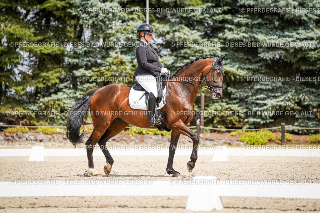 DSC03230 | Pferdegrafie