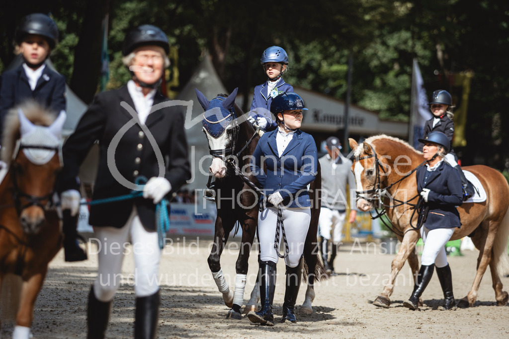 240915_OWLCh_FuehrzuegelWB-686 | Deine schönsten Turniermomente als professionelle Fotos! Entdecke hochwertige Pferdesport-Fotografie im Online-Shop. Jetzt Fotos finden & bestellen!