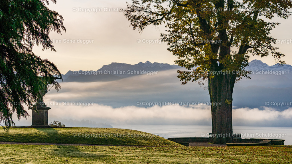 A7209799 | Entdecke hochwertige Fine Art Prints und Fotografien vom professionellen Fotografen aus Luzern. Jedes Motiv wird mit Liebe zum Detail aufgenommen, sorgfältig bearbeitet und in bester Qualität gedruckt – perfekt für Wohnräume, Büros oder als besonderes Ges - Realisiert mit Pictrs.com