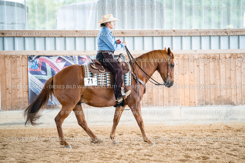 DSC02981 | Pferdegrafie