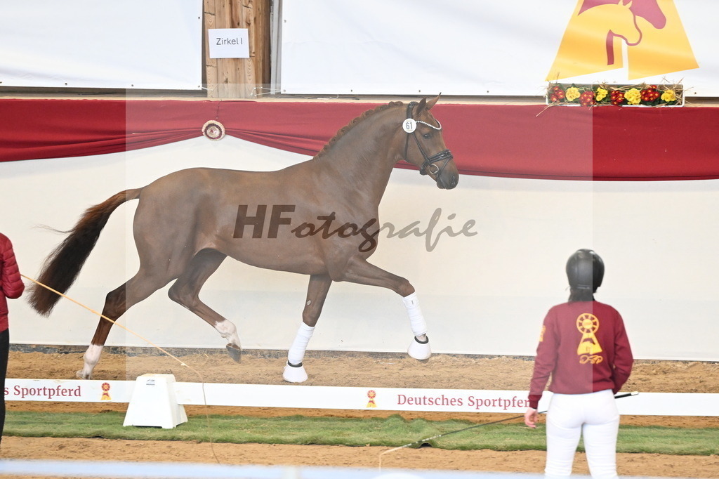 Kat.-Nr. 61 v. Floricello_MH Pferdezucht u. -sport_3260864 | hf-fotografie - Realisiert mit Pictrs.com