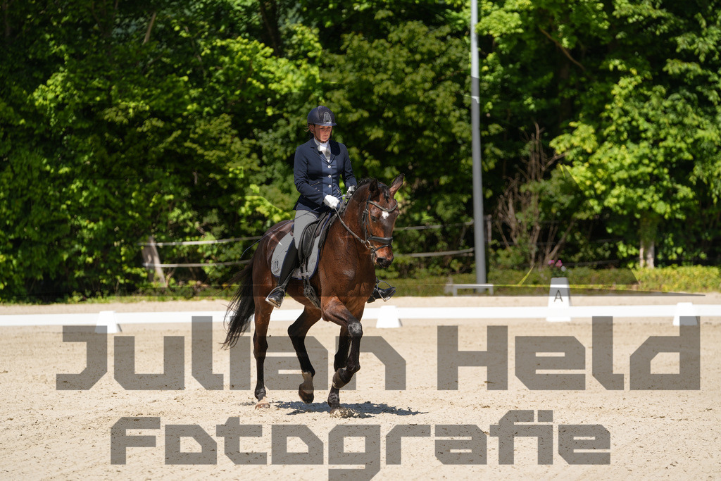 DSC00332 | Julian Held Fotografie - Realisiert mit Pictrs.com