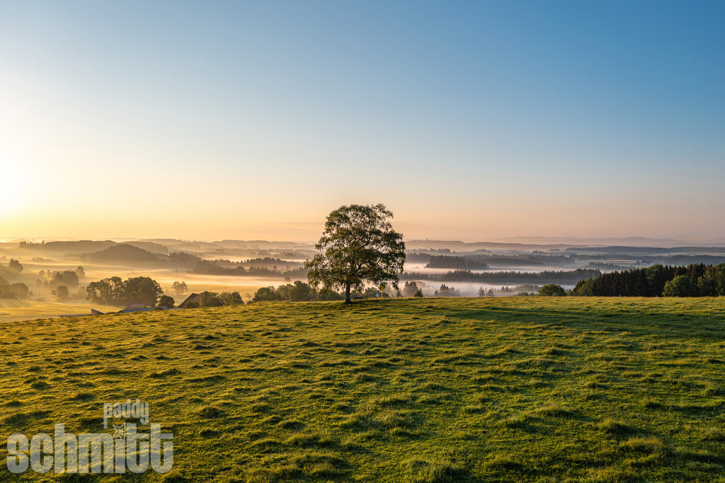 PS-Allgaeu-2026-157 | Entdecke die größte Bildgalerie der Region mit Fotografien aus dem Allgäu, der Bodenseeregion, Oberschwaben, dem Donautal und der Schwäbischen Alb. Landschaften, Luftaufnahmen und Reisefotografie als Wandbild und Fotokunst. - Realisiert mit Pictrs.com