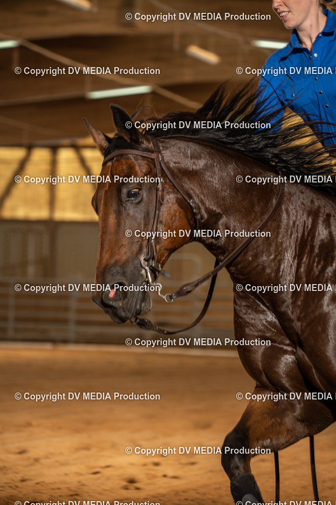 NID02186 | dv-media-shop - Realisiert mit Pictrs.com