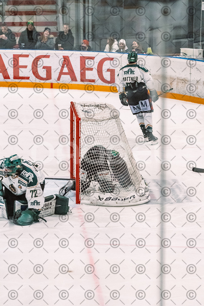 Alligators_vs_Erding_12_12_2025-189 | Höchstadt Alligators Fotogalerie: Eishockey-Action aus Franken. Professionelle Spielfotos, Portraits & Stadionbilder zum Download. Jetzt entdecken! - Realized with Pictrs.com