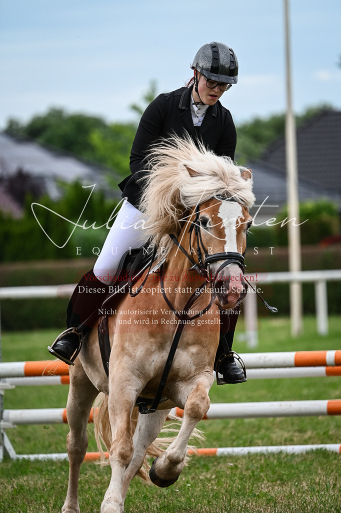 DSC_8405 | Pferde- und Turnierfotografie in Westsachsen. Pferdeportraits, Auftragszeichnungen und intuitive Kunst.