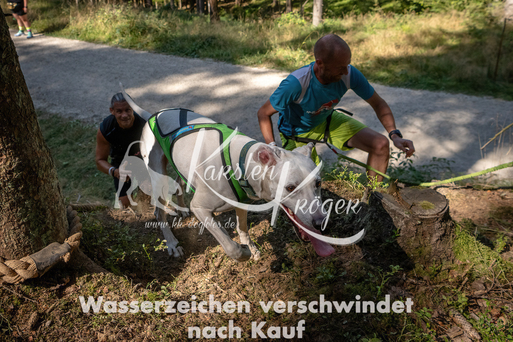 1238_ZZ94713 | kk-dogfotos