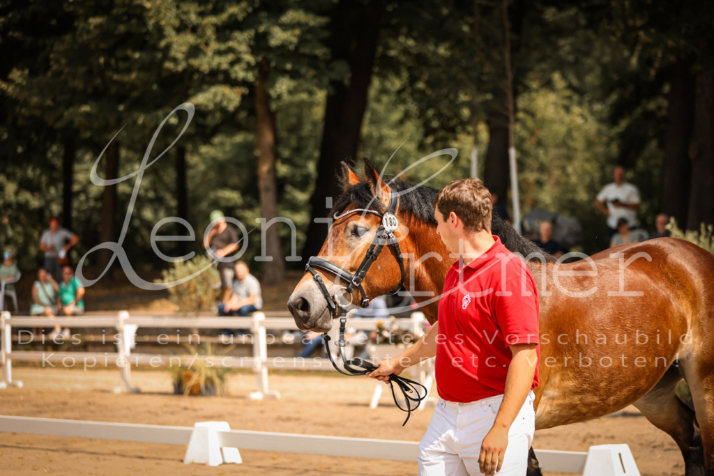 1.Sa00017 | Leoni Ertmer Photography - Realisiert mit Pictrs.com