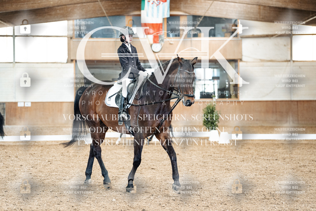 CK900605 | Turnierfotografie Pferdefotografie Trier Rheinland-Pfalz Pferdesport Reitsport Tierfotografie Sportfotografie Pferdevideo Pferdevideografie Equestrianvideography equestrianphotography  - Realized with Pictrs.com