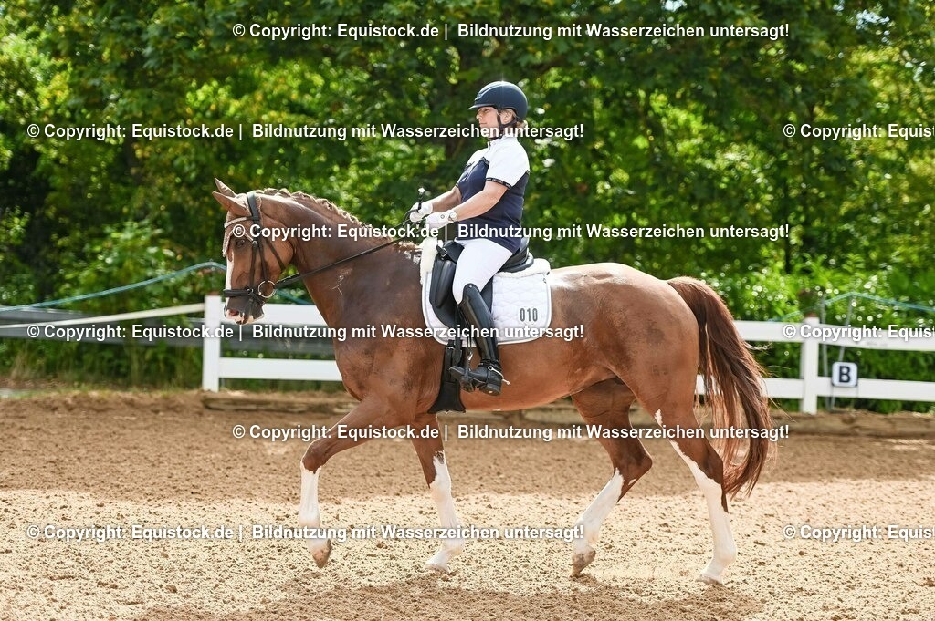 20230715_07_Dressurpferdeprfg. Kl.L_0025 | equistock