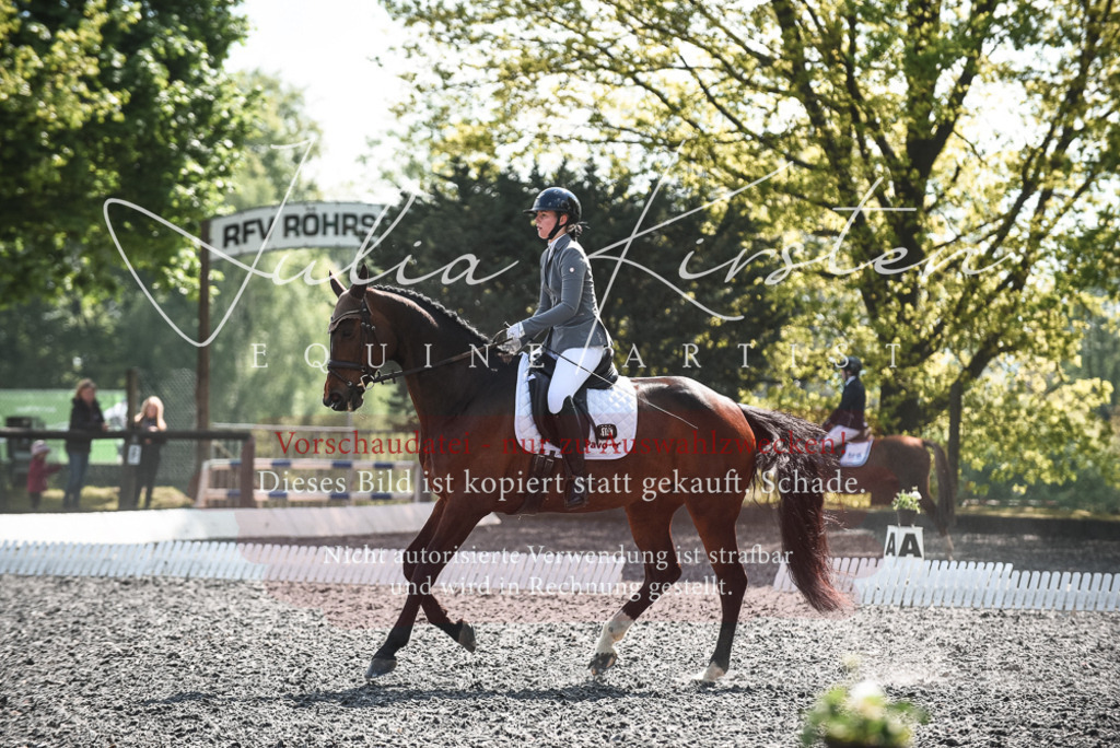 DSC_8978 | Pferde- und Turnierfotografie in Westsachsen. Pferdeportraits, Auftragszeichnungen und intuitive Kunst.