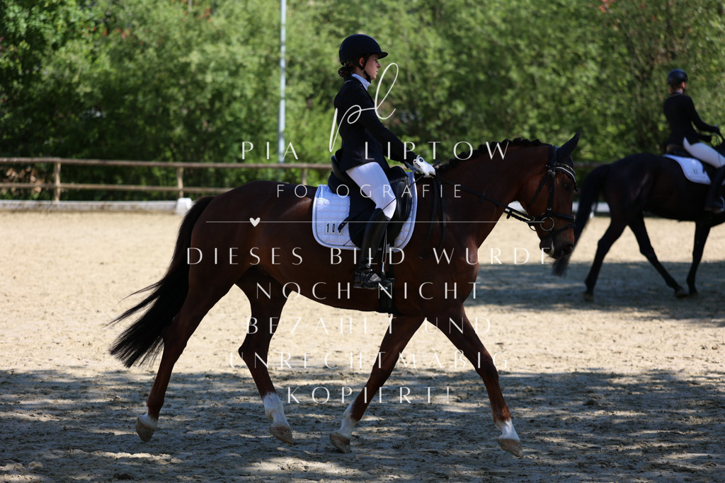 IMGT0235 | pl-fotografie