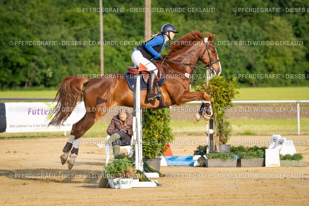 DSC01955 | Pferdegrafie