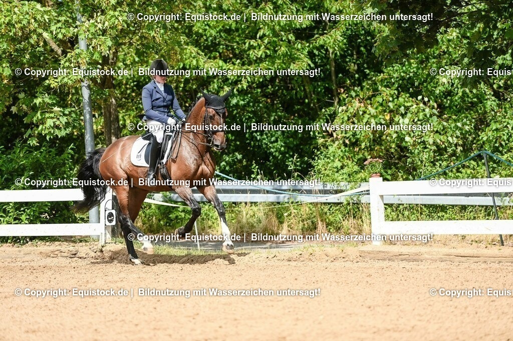 20230716_01_Dressurprüfung Kl.M_0189 | equistock
