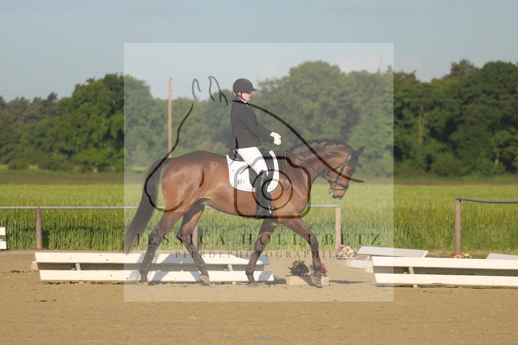 IMG_1314 | jessicahollubetz_pferdephotographie - Realisiert mit Pictrs.com