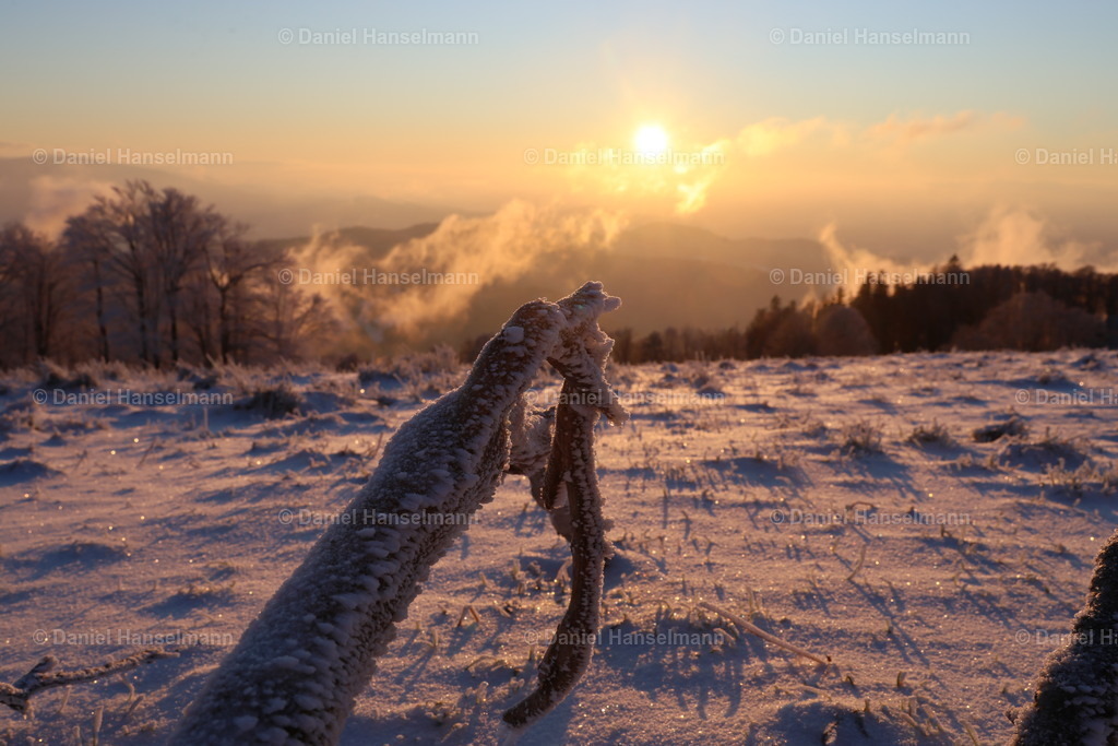 162A3880 | Hier finden Sie Poster, Leinwandfotos sowie viele weitere Fotoprodukte mit Motiven aus dem Schwarzwald, aus Freiburg und dem Kaiserstuhl zum Download und zum Bestellen.  - Realisiert mit Pictrs.com