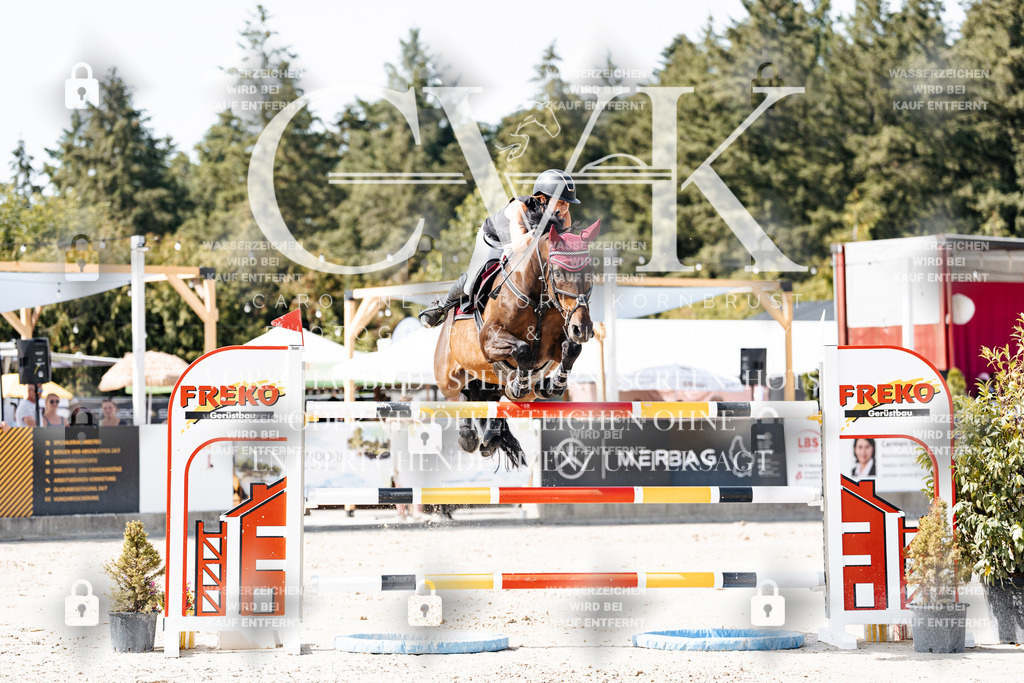 CK905317 | Turnierfotografie Pferdefotografie Trier Rheinland-Pfalz Pferdesport Reitsport Tierfotografie Sportfotografie Pferdevideo Pferdevideografie Equestrianvideography equestrianphotography  - Realisiert mit Pictrs.com
