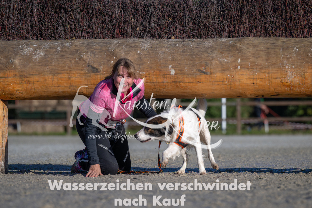 1019-_ZZ90694 | kk-dogfotos