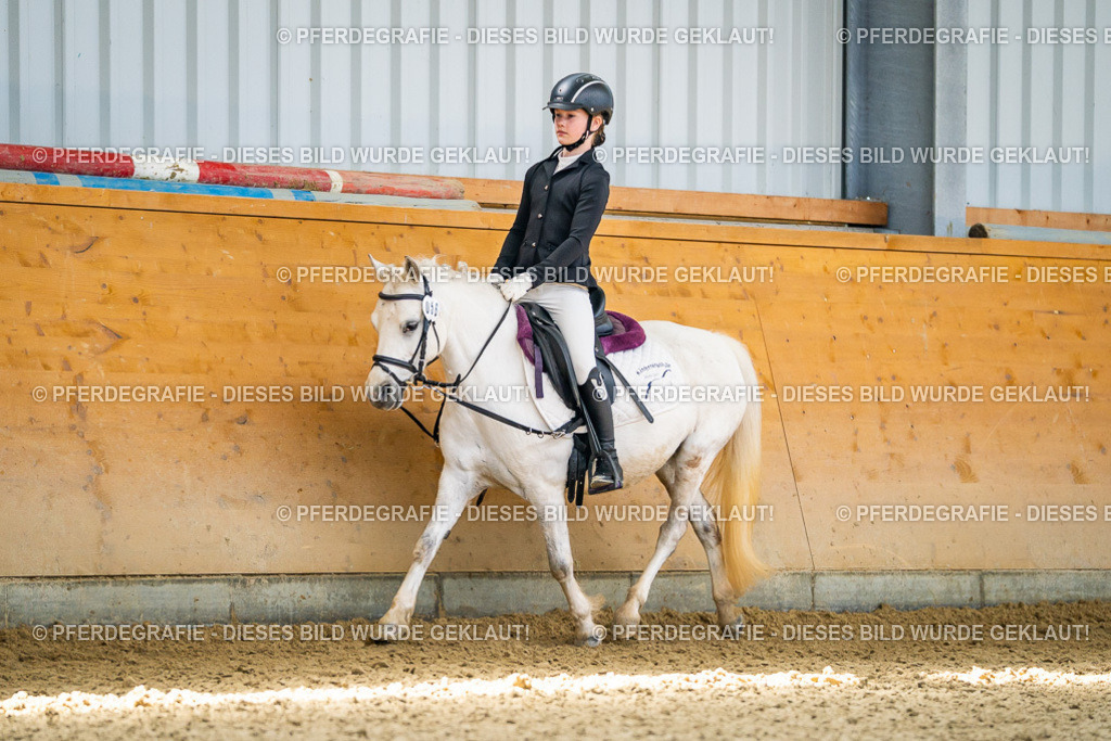 DSC02456 | Pferdegrafie