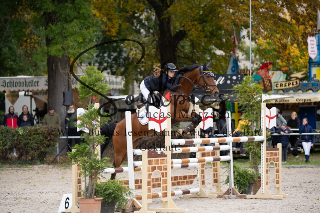 A7V01002 | Pferdefotograf