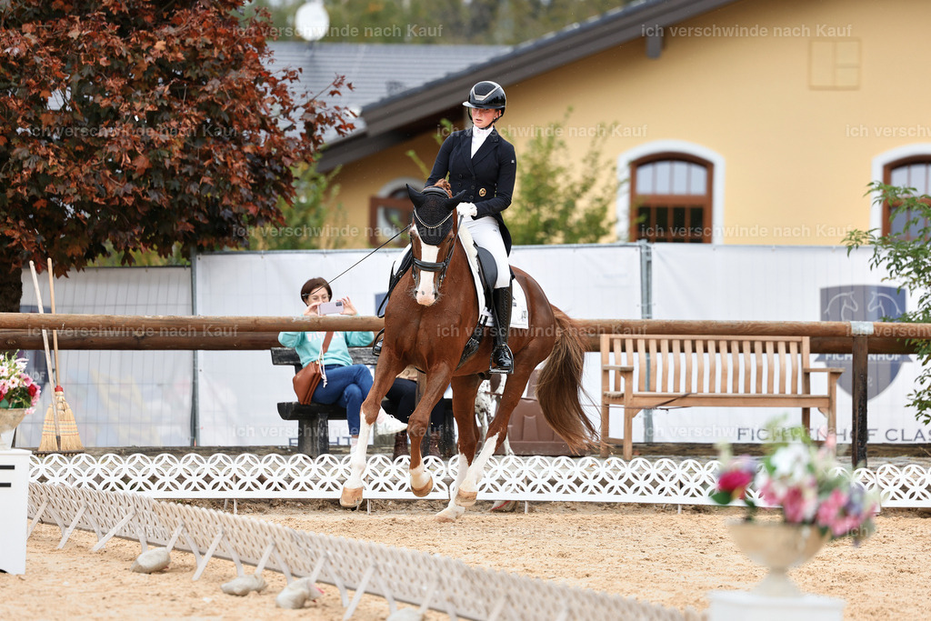 11-201-Dressur S___-StoibPH-946 | working equitationturnier fotograf videograf stoibphotography marixx film working equitation deutschland reitsport turnierfotografie eventfotografie equestrian events