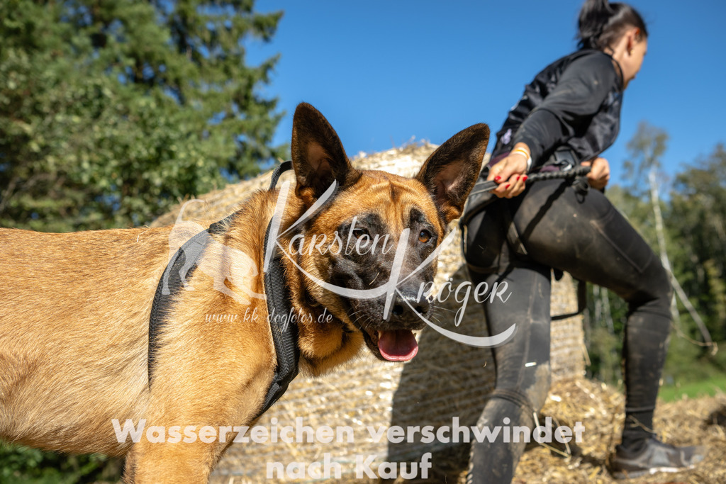 1244_ZZ92073-2 | kk-dogfotos