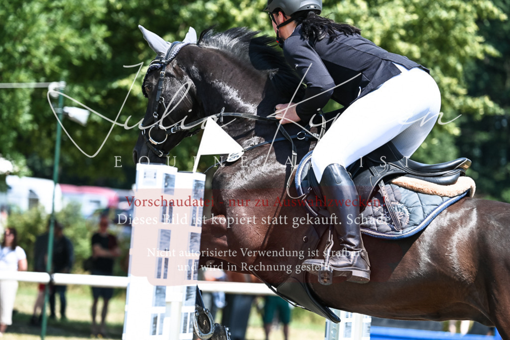 DSC_0201 | Pferde- und Turnierfotografie in Westsachsen. Pferdeportraits, Auftragszeichnungen und intuitive Kunst.