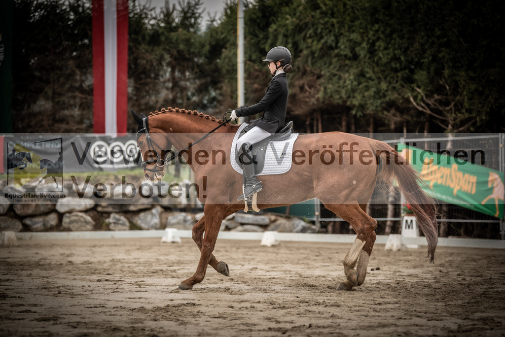 DSC_0166 | equestrian-live-com