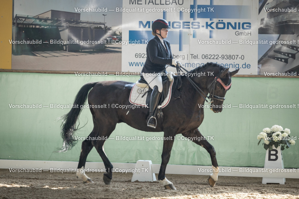 _D5A2698 | Emotionale Pferde- & People-Fotografie rund um Heidelberg, Leimen & Umgebung. Natürliche Fotos von Pferd, Mensch & Familie. Jetzt Termin sichern!