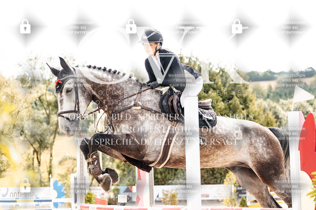CK909031 | Turnierfotografie Pferdefotografie Trier Rheinland-Pfalz Pferdesport Reitsport Tierfotografie Sportfotografie Pferdevideo Pferdevideografie Equestrianvideography equestrianphotography  - Realisiert mit Pictrs.com
