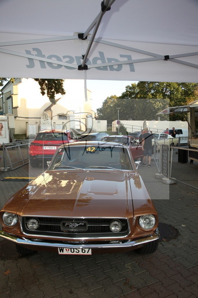 IMG_4332 | Gerhard Witt