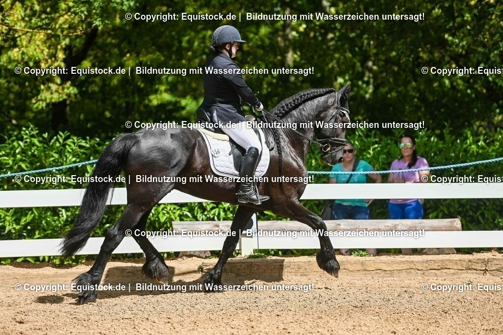 20230715_02_Dressurreiterprüfung Kl.L_0176 | equistock