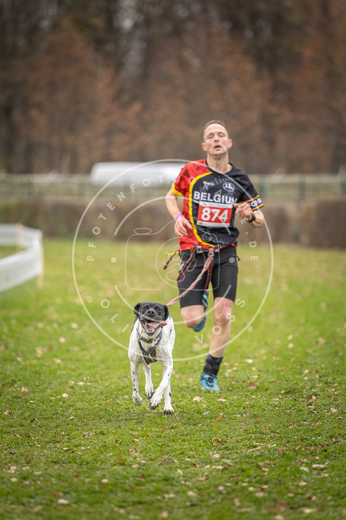 CaniXpix_DV3A6725 | Hundefotografie, Tierfotograf, Pfotenfotografie, Fotoshooting Hund, Hunde Portrait, Hundesport, Hundeportraits, Heideshooting, Hunde, Sportfotograf, Hundefotograf, Turnierhundsport, THS,  - Realisiert mit Pictrs.com