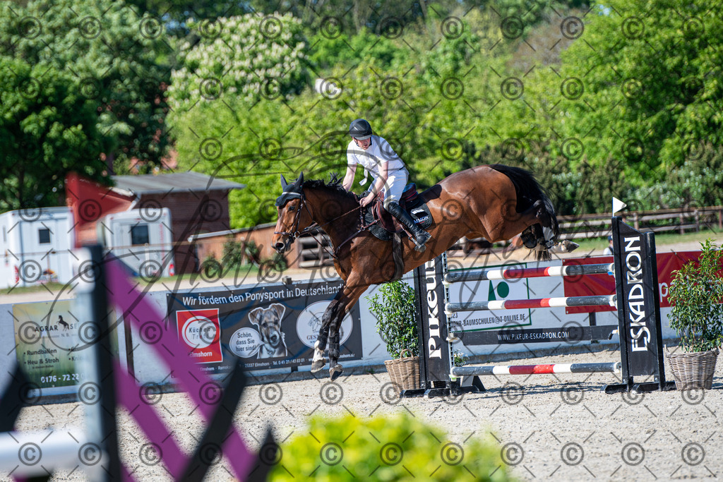 KPT_1548 | andre_photographic