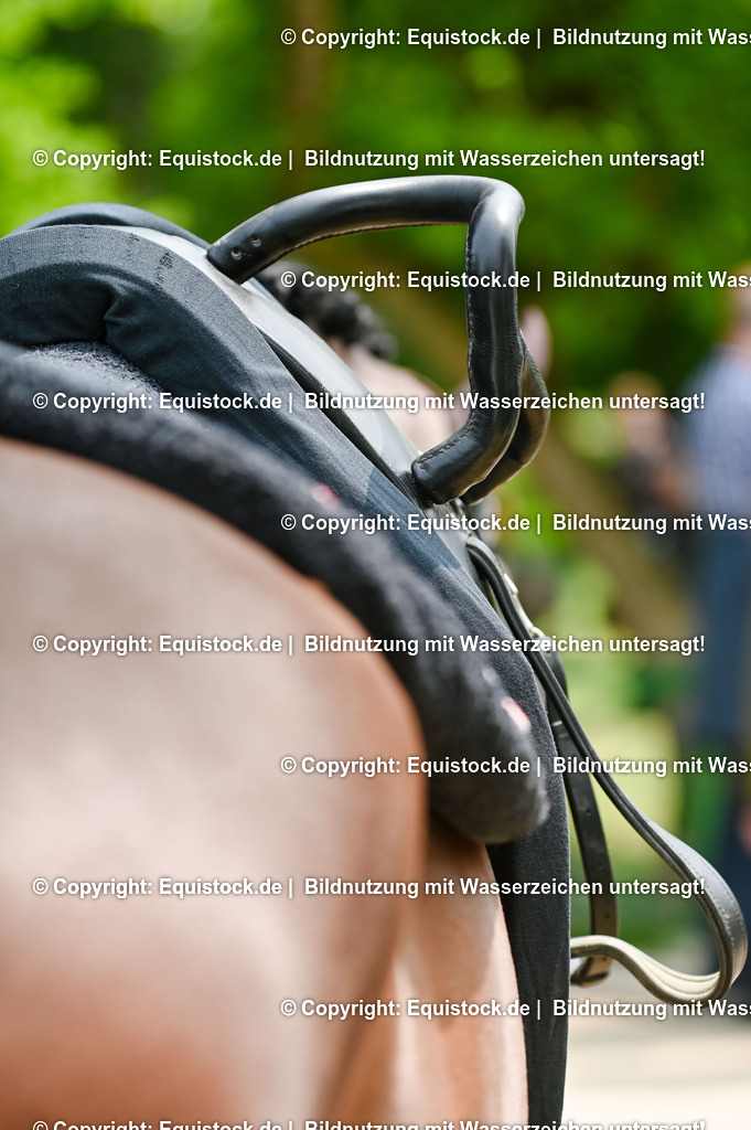 20250608_CVI-Masterclass_0014 | Foto: Thomas Hartig