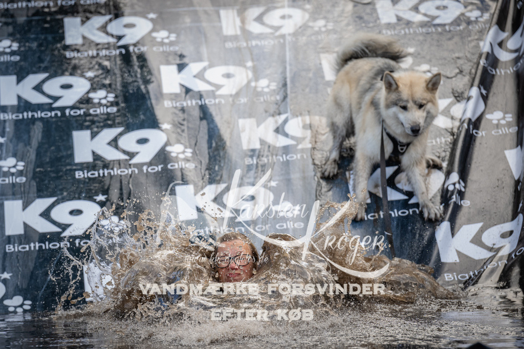 1529_ZZ94677 | kk-dogfotos