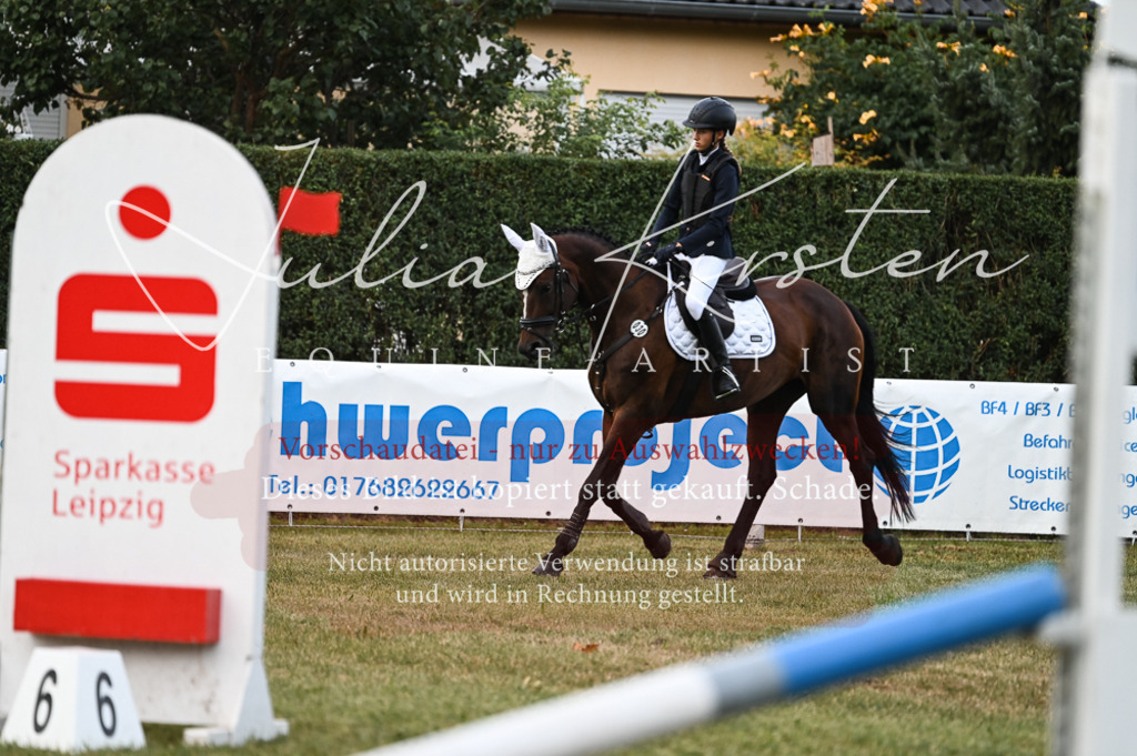 DSC_5636 | Pferde- und Turnierfotografie in Westsachsen. Pferdeportraits, Auftragszeichnungen und intuitive Kunst.